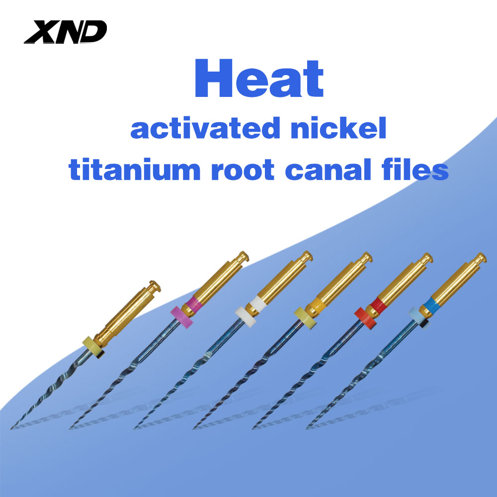 Woodworking Files - XND Dental Root Canal Files 6pcs/Pack